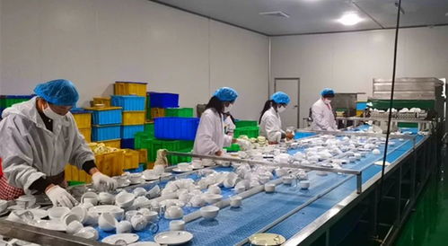 山東菏澤強化餐飲具衛生監管，筑牢群眾用餐安全防線